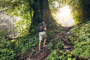Best Hiking Boots for Rainforest