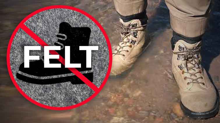 What-makes-felt-soled-waders-unsafe-for-transporting-Aquatic-Invasive-Species